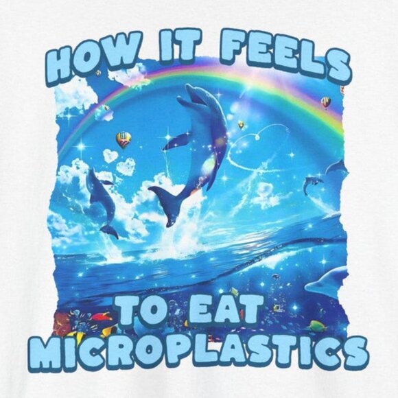 How It Feels To Eat Microplastics Shirt, Brain Rot Tee, Ironic Funny Meme 140 - Picture 2 of 5